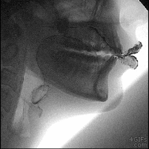 Meet your Posher, M - Picture 1 of 1